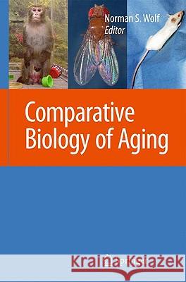 The Comparative Biology of Aging Wolf, Norman S. 9789048134649 Springer - książka