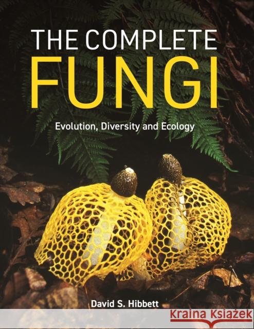 The Complete Fungi: Evolution, Diversity, and Ecology David S. Hibbett 9780691265261 Princeton University Press - książka