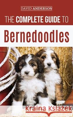 The Complete Guide to Bernedoodles: Everything you need to know to successfully raise your Bernedoodle puppy! David Anderson 9781952069642 LP Media Inc. - książka