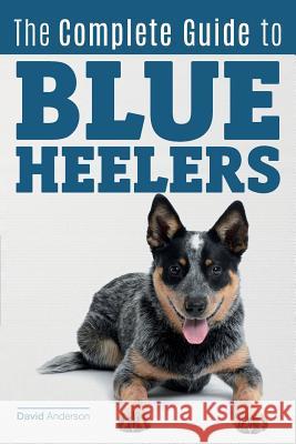 The Complete Guide to Blue Heelers - aka The Australian Cattle Dog. Learn About Breeders, Finding a Puppy, Training, Socialization, Nutrition, Groomin Anderson, David 9781542802765 Createspace Independent Publishing Platform - książka