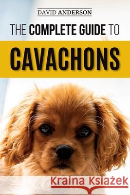 The Complete Guide to Cavachons: Choosing, Training, Teaching, Feeding, and Loving Your Cavachon Dog David Anderson 9781731042743 Independently Published - książka