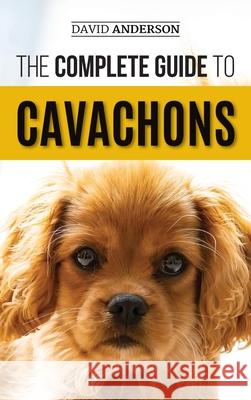 The Complete Guide to Cavachons: Choosing, Training, Teaching, Feeding, and Loving Your Cavachon Dog David Anderson 9781952069567 LP Media Inc. - książka