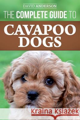 The Complete Guide to Cavapoo Dogs: Everything you need to know to successfully raise and train your new Cavapoo puppy Anderson, David 9781985723092 Createspace Independent Publishing Platform - książka