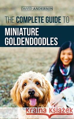 The Complete Guide to Miniature Goldendoodles: Learn Everything about Finding, Training, Feeding, Socializing, Housebreaking, and Loving Your New Miniature Goldendoodle Puppy David Anderson 9781952069536 LP Media Inc. - książka