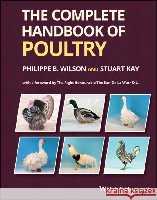 The Complete Handbook of Poultry Stuart Kay 9781119765189 John Wiley and Sons Ltd - książka