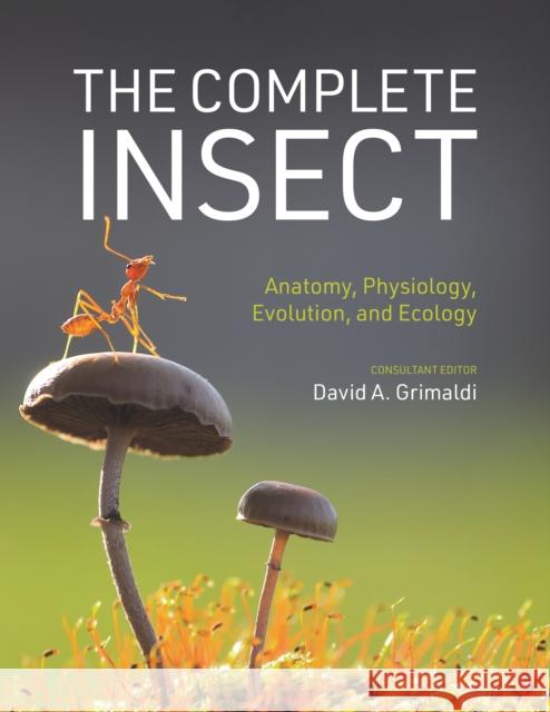 The Complete Insect: Anatomy, Physiology, Evolution, and Ecology David A. Grimaldi 9780691243108 Princeton University Press - książka