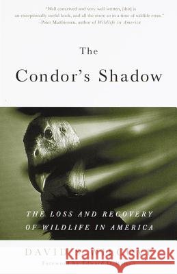The Condor's Shadow: The Loss and Recovery of Wildlife in America David S. Wilcove 9780385498814 Anchor Books - książka