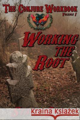 The Conjure Workbook Volume 1: Working the Root Casas, Starr 9781936922567 Pendraig Publishing - książka