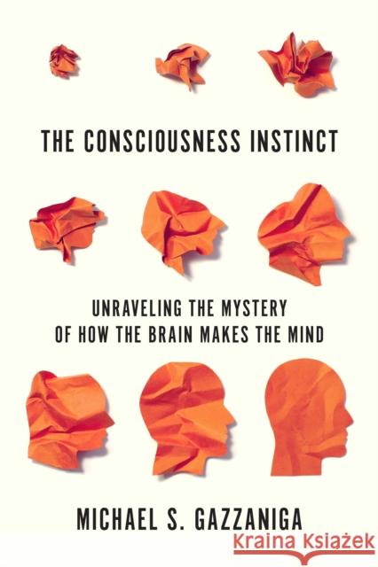 The Consciousness Instinct: Unraveling the Mystery of How the Brain Makes the Mind Michael S. Gazzaniga 9780374538156 Farrar, Straus and Giroux - książka