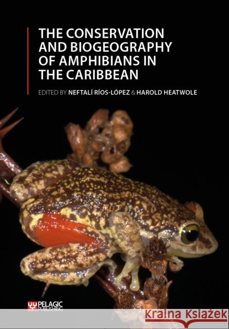 The Conservation and Biogeography of Amphibians in the Caribbean R Harold Heatwole 9781784272678 Pelagic Publishing Ltd - książka