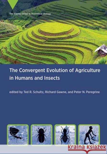 The Convergent Evolution of Agriculture in Humans and Insects Ted R. Schultz Richard Gawne Peter N. Peregrine 9780262543200 MIT Press Ltd - książka