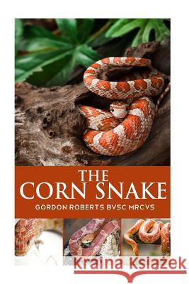 The Corn Snake Gordon Robert 9781505468083 Createspace Independent Publishing Platform - książka