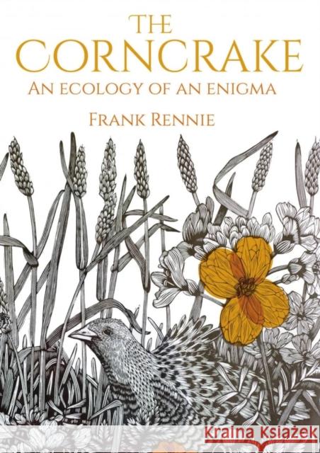 The Corncrake: An Ecology of an Enigma Frank Rennie 9781849955027 Whittles Publishing - książka