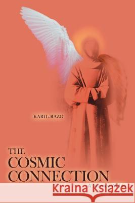 The Cosmic Connection: A Journey Within Razo, Kari L. 9780595384341 iUniverse - książka