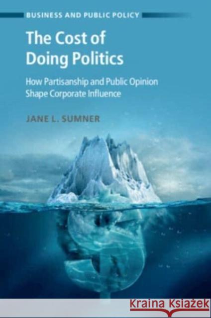 The Cost of Doing Politics Jane L. (University of Minnesota) Sumner 9781009124584 Cambridge University Press - książka