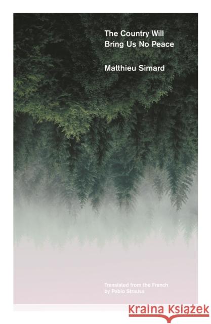 The Country Will Bring Us No Peace Matthieu Simard 9781910312834 Influx Press - książka