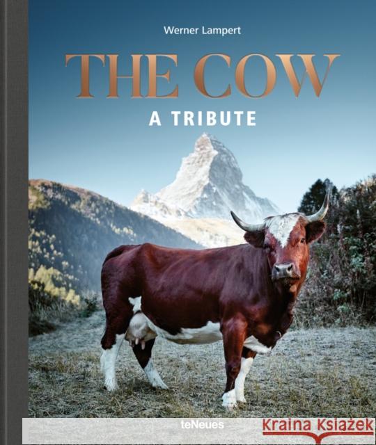 The Cow: A Tribute Werner Lampert 9783961711840 teNeues Publishing UK Ltd - książka