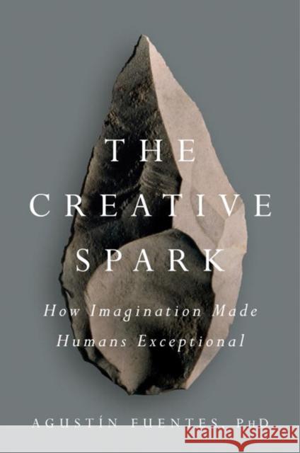 The Creative Spark: How Imagination Made Humans Exceptional Agustin Fuentes 9781101983942 Dutton Books - książka