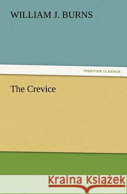The Crevice William J Burns 9783847223528 Tredition Classics - książka