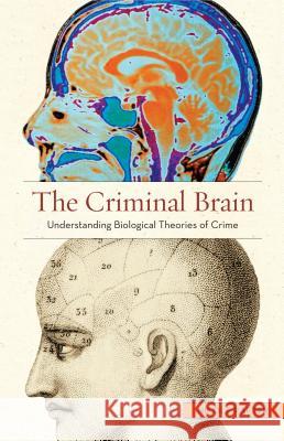 The Criminal Brain: Understanding Biological Theories of Crime Nicole Hahn Rafter 9780814776148 New York University Press - książka