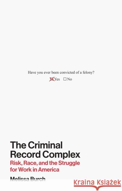 The Criminal Record Complex: Risk, Race, Capital, and Hiring in America Melissa Burch 9780691272108 Princeton University Press - książka