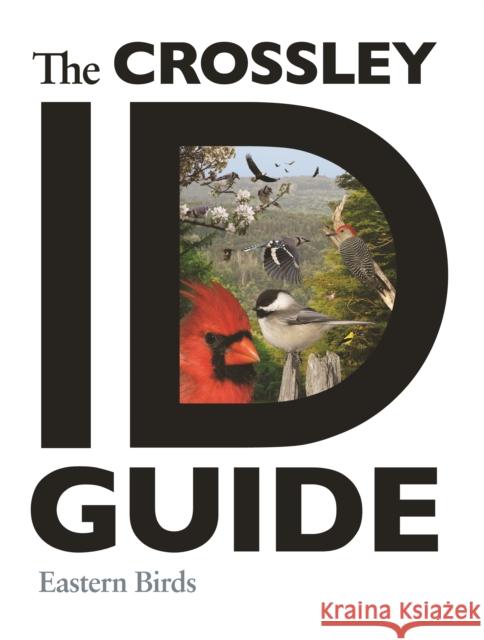 The Crossley Id Guide: Eastern Birds Crossley, Richard 9780691147789  - książka