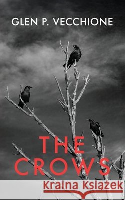 The Crows Vecchione, Glen P. 9781608644155 Queer Space - książka