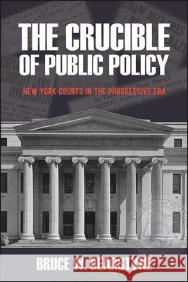 The Crucible of Public Policy: New York Courts in the Progressive Era Bruce W. Dearstyne 9781438488578 Excelsior Editions/State University of New Yo - książka