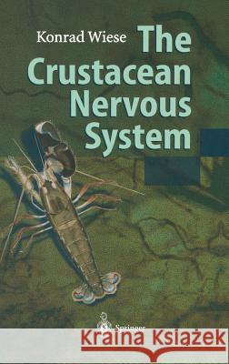 The Crustacean Nervous System Konrad Wiese K. Wiese Konrad Wiese 9783540669005 Springer Berlin Heidelberg - książka