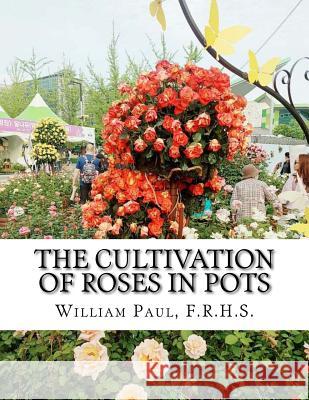 The Cultivation of Roses in Pots: Or; Growing Roses in Containers F. R. H. S. William Paul Roger Chambers 9781724862358 Createspace Independent Publishing Platform - książka