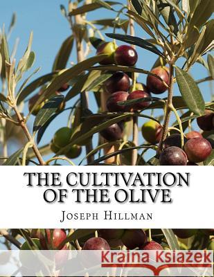 The Cultivation of the Olive: A Short Treatise With Special Reference to Fertilization Chambers, Roger 9781985080997 Createspace Independent Publishing Platform - książka
