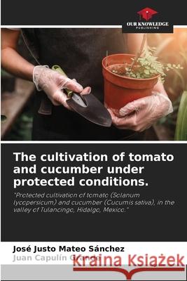 The cultivation of tomato and cucumber under protected conditions. Mateo Sánchez, José Justo, Capulín Grande, Juan 9786206815341 Our Knowledge Publishing - książka