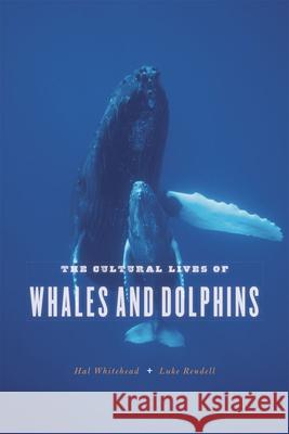 The Cultural Lives of Whales and Dolphins Hal Whitehead Luke Rendell 9780226325927 University of Chicago Press - książka