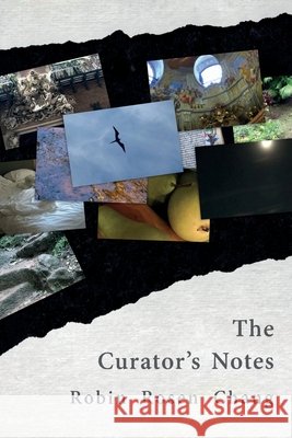 The Curator's Notes Robin Rosen Chang Diane Lockward 9781947896376 Terrapin Books - książka