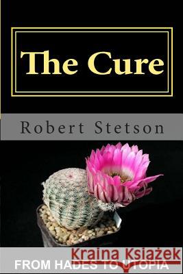 The Cure Robert Stetson 9781480214583 Createspace - książka