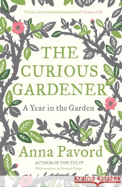 The Curious Gardener Anna Pavord 9781408810064 Bloomsbury Publishing PLC - książka