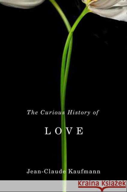 The Curious History of Love Jean-Claude Kaufmann 9780745651545  - książka