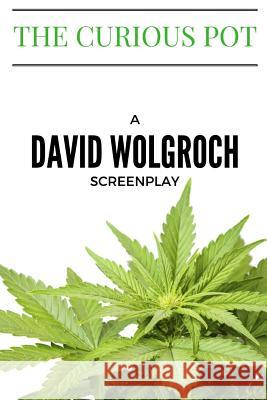 The Curious Pot David Wolgroch 9781537527475 Createspace Independent Publishing Platform - książka