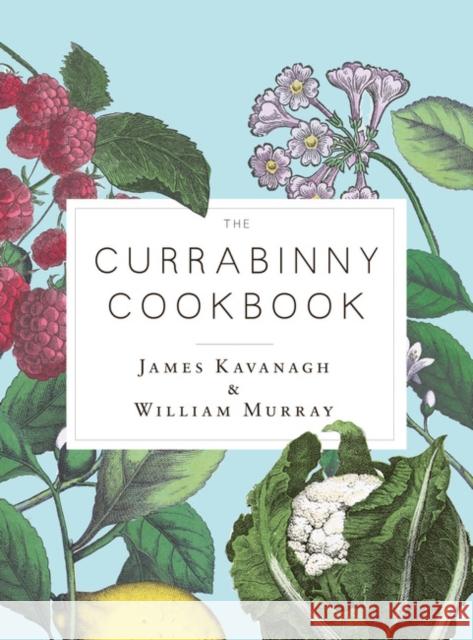 The Currabinny Cookbook Kavanagh, James 9781844884148  - książka