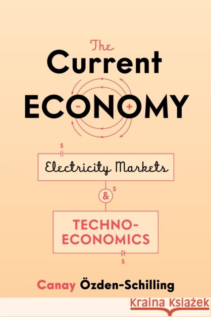 The Current Economy: Electricity Markets and Techno-Economics Özden-Schilling, Canay 9781503628212 Stanford University Press - książka