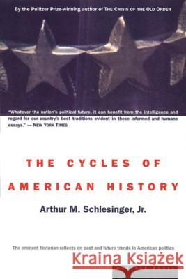 The Cycles of American History Arthur Meier, Jr. Schlesinger 9780395957936 Mariner Books - książka