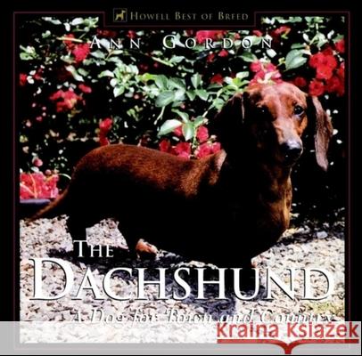 The Dachshund: A Dog for Town and Country Ann Gordon Julia M. Cranford 9781582451589 Howell Books - książka