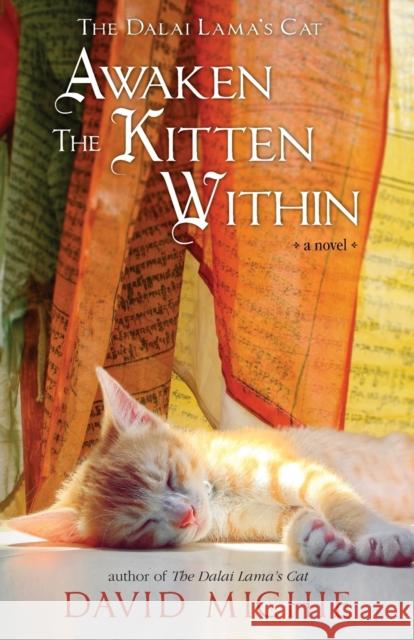 The Dalai Lama's Cat Awaken the Kitten Within David Michie 9780648866541 Conch Books - książka