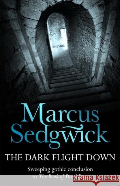 The Dark Flight Down Marcus Sedgwick 9781842551363  - książka