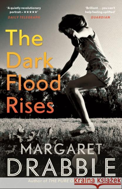 The Dark Flood Rises Margaret Drabble 9781782118336 Canongate Books - książka