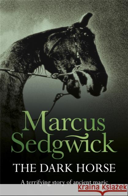 The Dark Horse Marcus Sedgwick 9781858818849  - książka