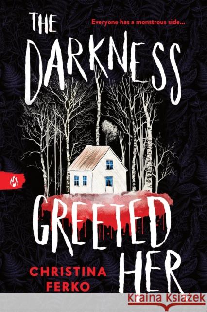 The Darkness Greeted Her Christina Ferko 9781464236310 Sourcebooks Fire - książka