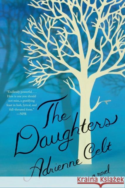 The Daughters Adrienne Celt 9781631491948 Liveright Publishing Corporation - książka
