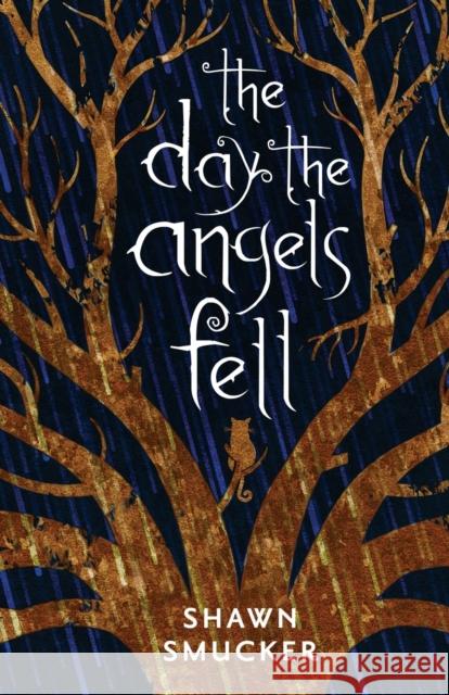 The Day the Angels Fell Shawn Smucker 9780800729103 Fleming H. Revell Company - książka