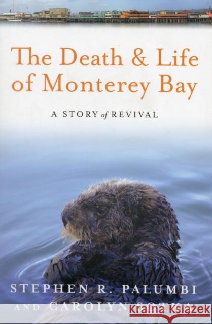 The Death and Life of Monterey Bay: A Story of Revival Palumbi, Stephen R. 9781610911900  - książka